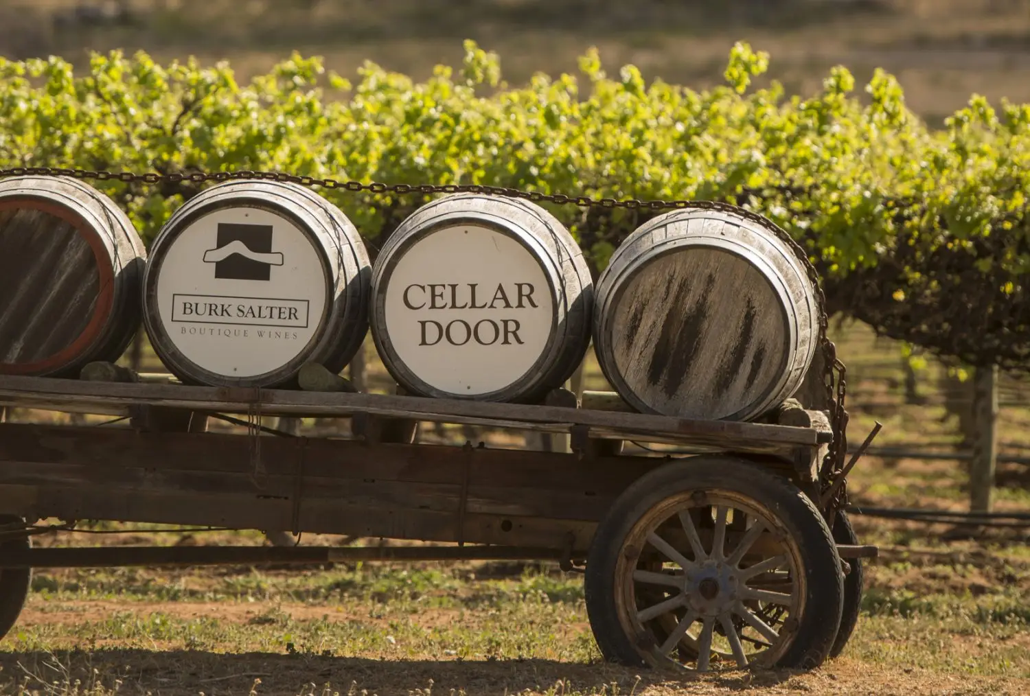 Burk Salter Cellar Door Sign