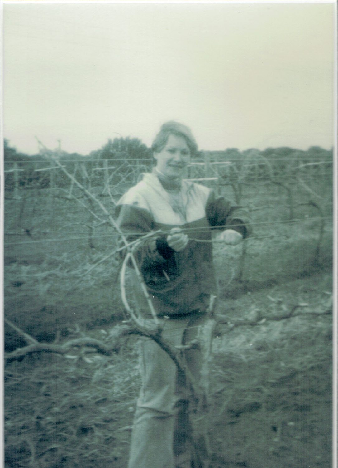 Jane Salter pruning