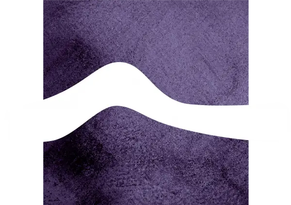 Burk Salter Wines Logo